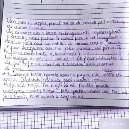 15310629_10211678556025580_1507443791_n